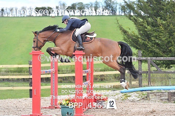 BPP_4365 - CLASS 8 FRI Senior Foxhunter/ 1.20m Open