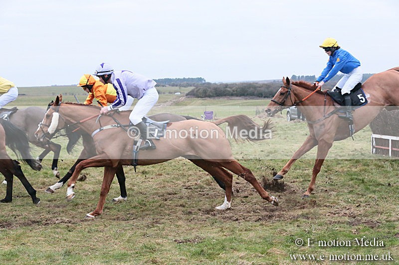 PtP 060119 570 - Larkhill Racing Club - Point-to-Point- 06/01/2019