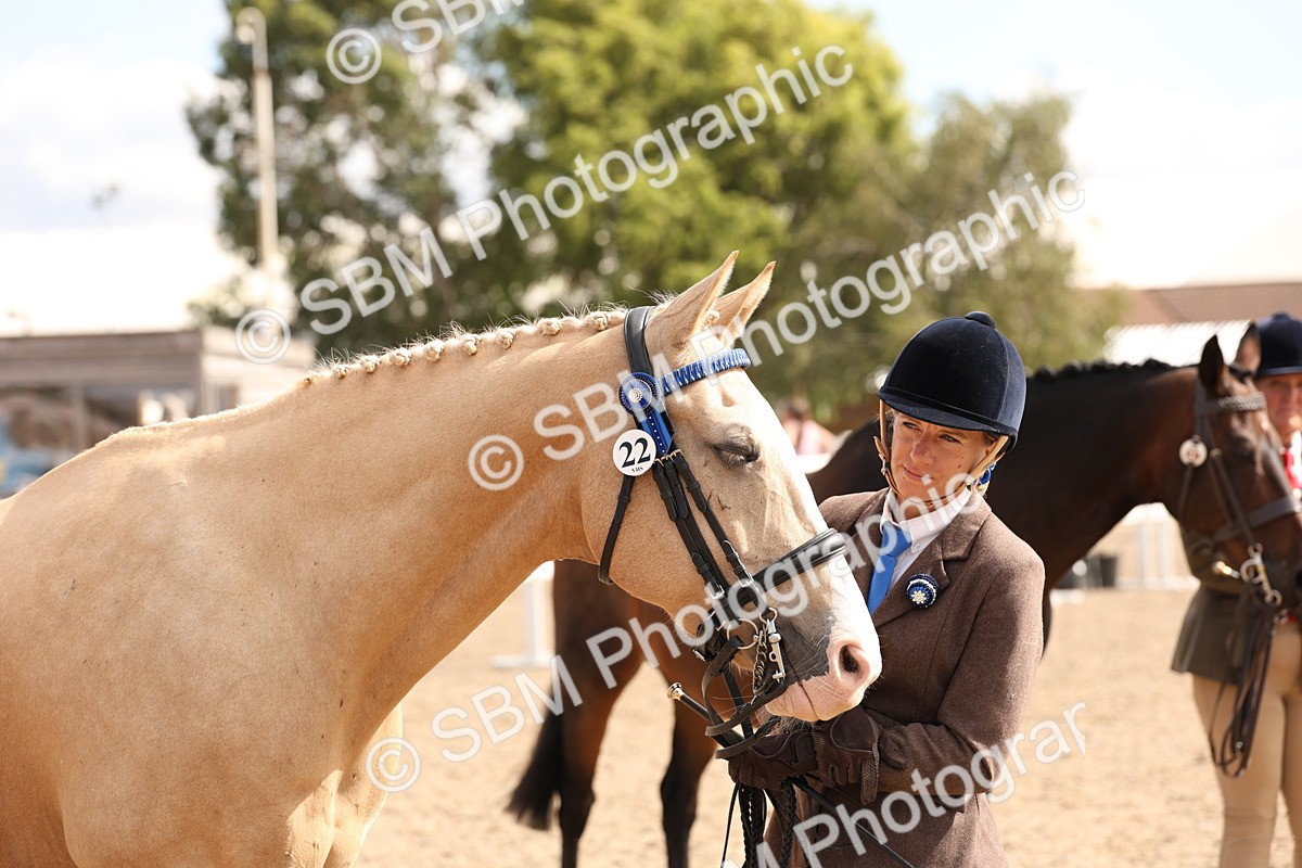 SBM_14718 - Class 208 - IH Veteran Horse