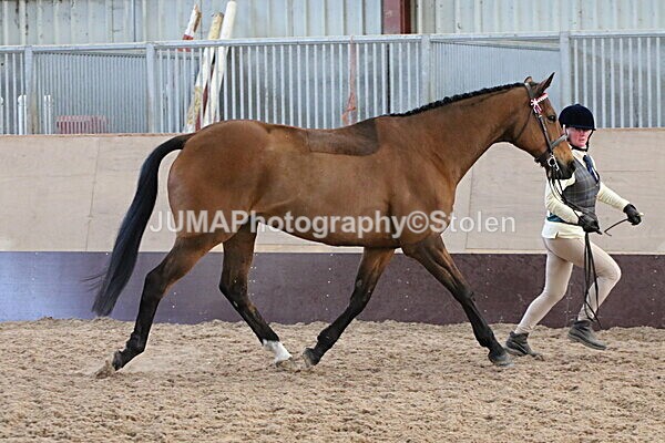 SIAL9829 - Indoor Classes