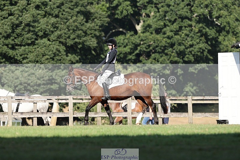 250823A-093116-25993 - Arena D