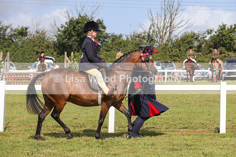 1X9A3613 - Class 29: Lead Rein SP/SHP