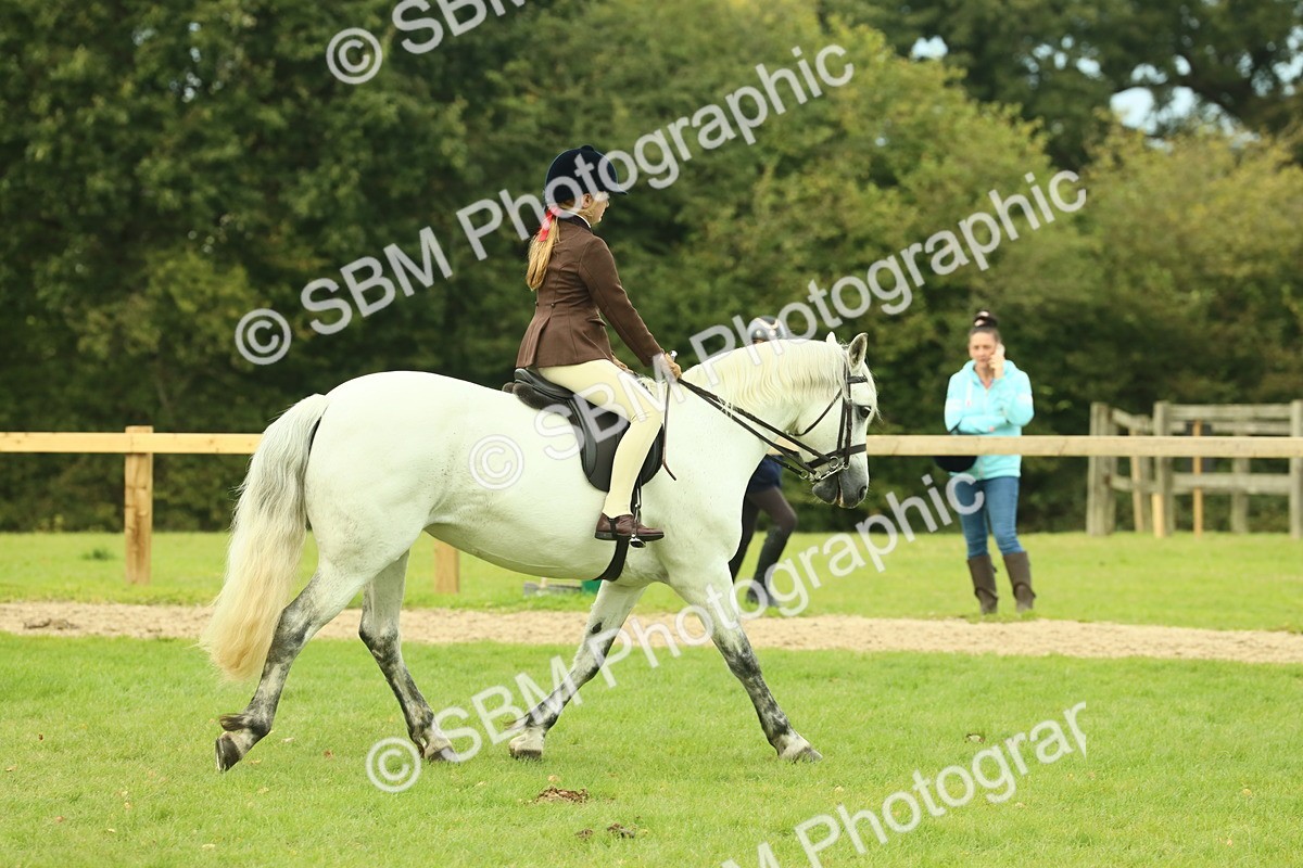 SBM_72012 - S60 - Mountain & Moorland Ridden Large Breeds