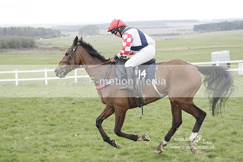 PtP 260323 0600 - New Forest Hounds Point-to-Point Larkhill 26/03/23
