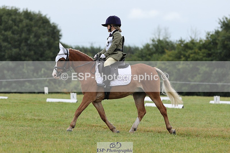 240824X-104456-22300 - D70 Section C and D 9.30 to 11.00