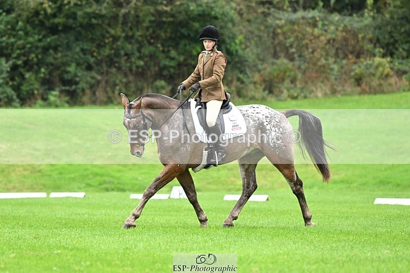 241024-105042-03067 - 501-Captain.Holly.Day-MUSTANG