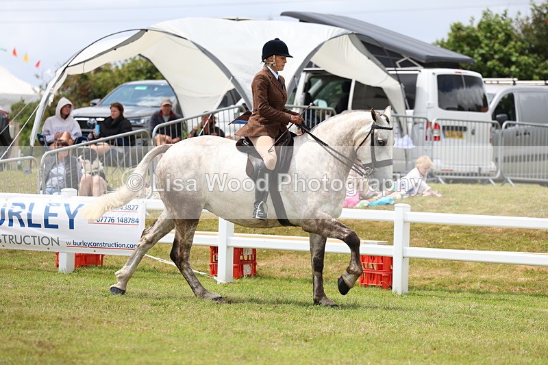 3E7A1934 - Class 10: Open Cob