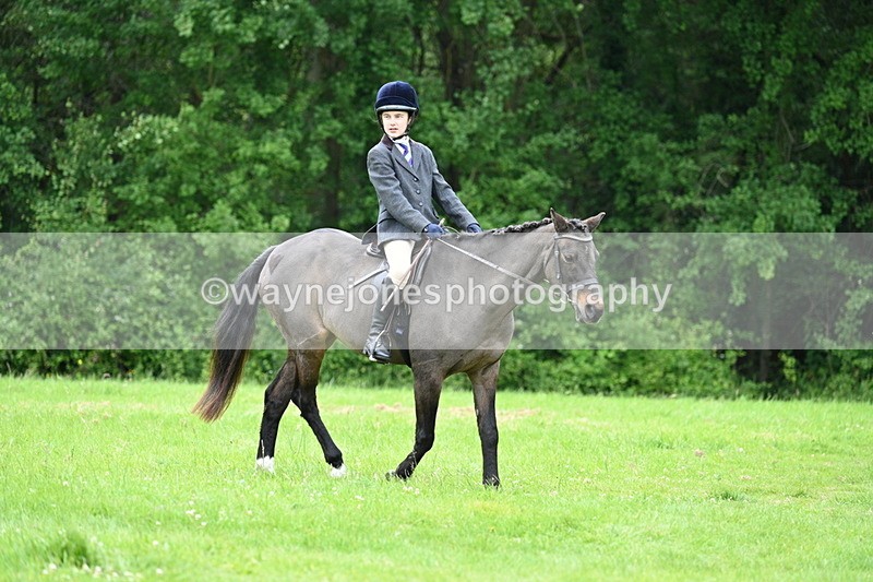 WJ7_4487 - Class 14B Prettiest Mare