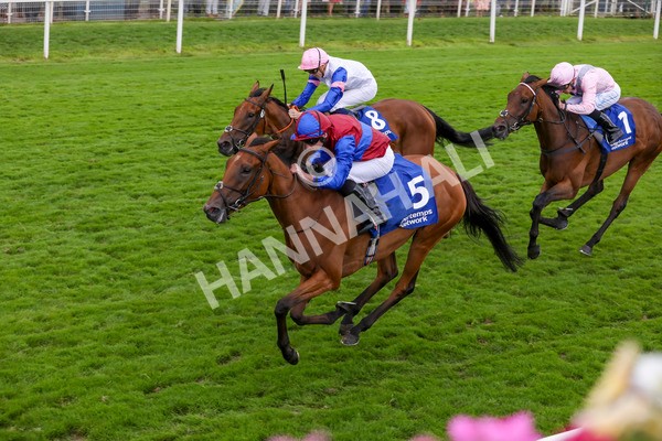 220824-Race 4-Content-7702 - Race 4 3.35pm Pertemps Network Yorkshire Oaks