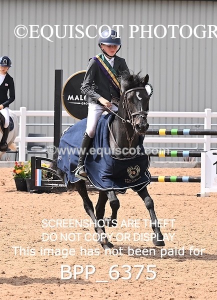 BPP_6375 - SUN CLASS 50 Horse of The Year Show 138cms Qualifier