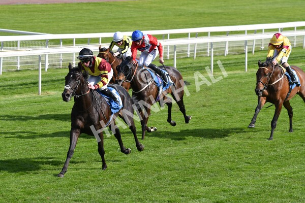 yr12052021r7-21 - Race 7 4.50 pm Conundrum HR Consulting Stakes