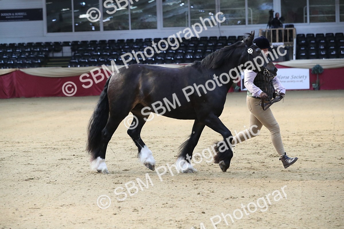 SBM_00541 - class 2a Area IH Veteran