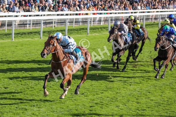 yr08102022r5-34 - Race 5 3.50pm The Coral Committed To Safer Gambling EBFStallions.com Maiden Stakes