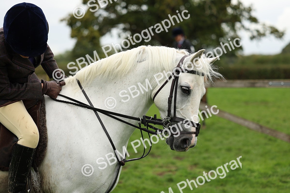 SBM_41817 - S32 - Mountain & Moorland Working Hunter Pony