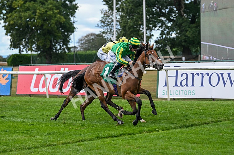 290825-Race 2-Brigids Well-8375 - Race 2