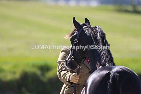 SIAL2309 - Outdoor championship & supreme