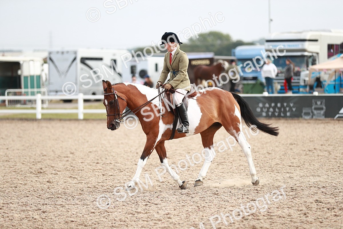 SBM_17574 - Class 215 Ridden Hack/ Riding Horse