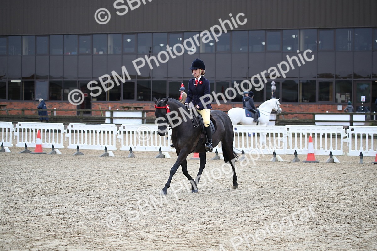 SBM_004719 - Class 5-9 - NPS In Hand-Show Hunter-Intermediate Ridden Inc Ridden Championship