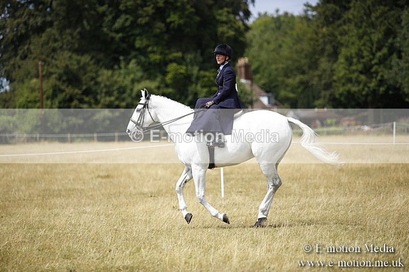 _C7A0278 - Side Saddle Classes BVRC Show 2018