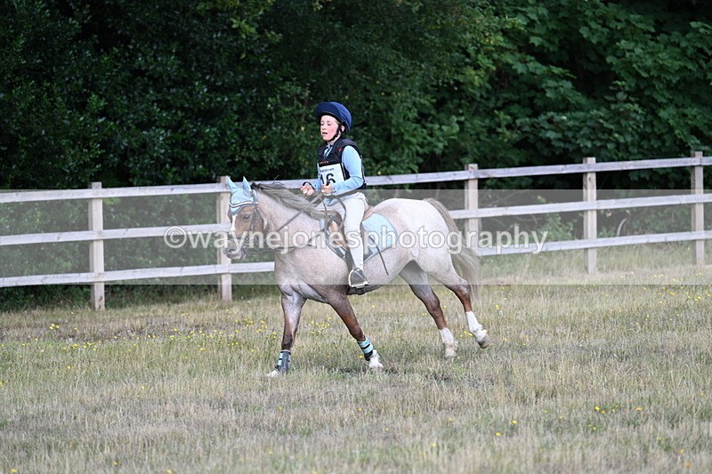 WJ7_0422 - 40cm Time 11:47 to 12:01