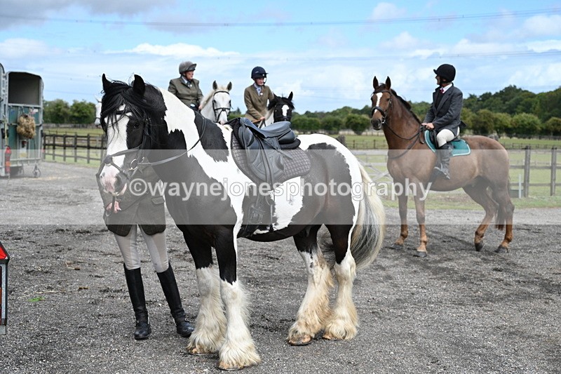WJ7_6753 - Berks & Bucks at Blandy’s Farm 31-08-25