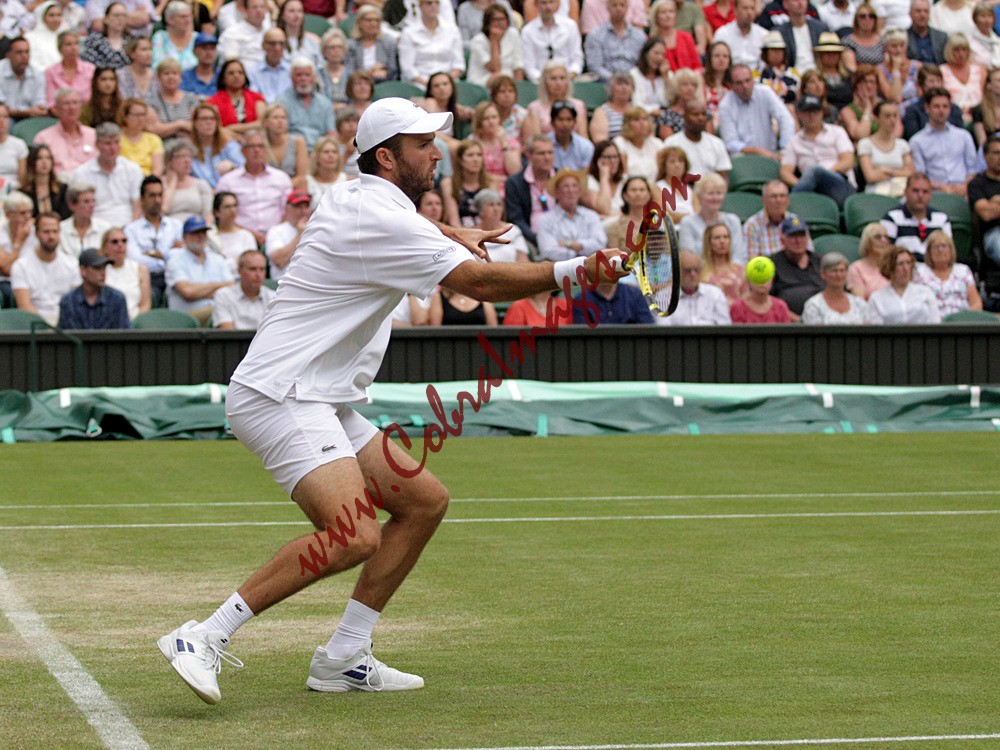 AF0I0155 - Wimbledon