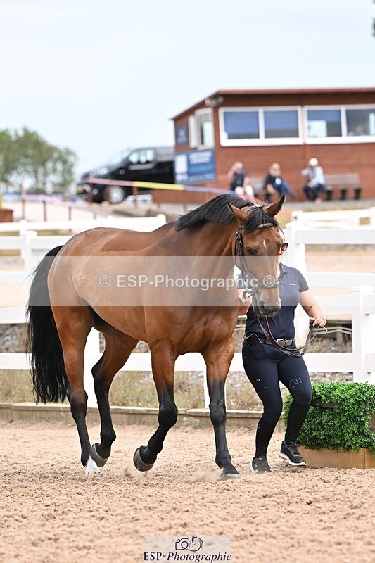 250716-154150-02136 - Trot Up 3.30 to 4.30