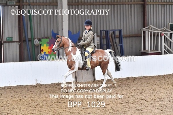 BPP_1029 - RING 2