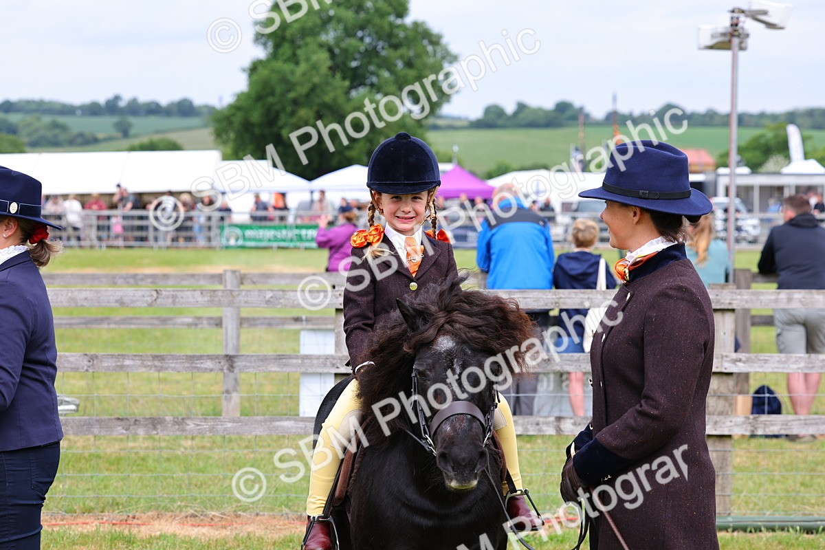 SBM_08293 - Class 42-43 - LIHS BSPS Heritage Working Sports Pony