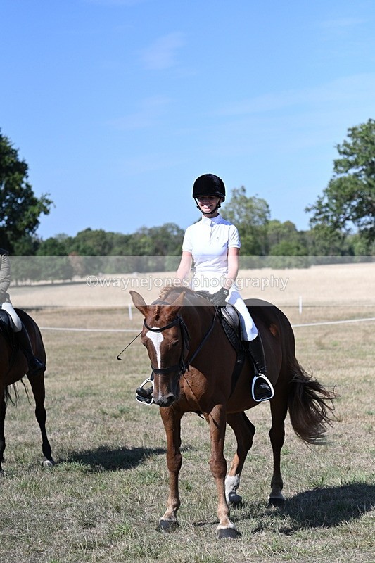 WJ7_1280 - Class 41 Prettiest Mare