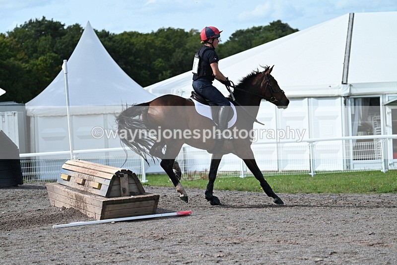 WJ7_2382 - Time 13:55 to 14:05