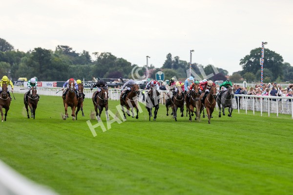 230823-Race 6-Designer-4553 - Race 6 4.45pm IRE Incentive, It Pays To Buy Irish Fillies' Handicap