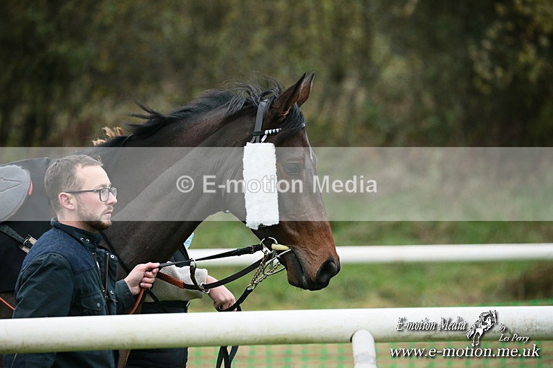 PtP 091124  238 - Knightwick Races Point-to-Point 09/11/24