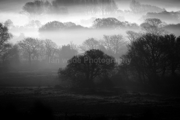 Easton in Gordano at dawn_ES_123 - Somerset landscape Photography