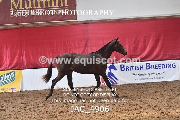JAC_4906 - 4 River Dance, Take A Chance