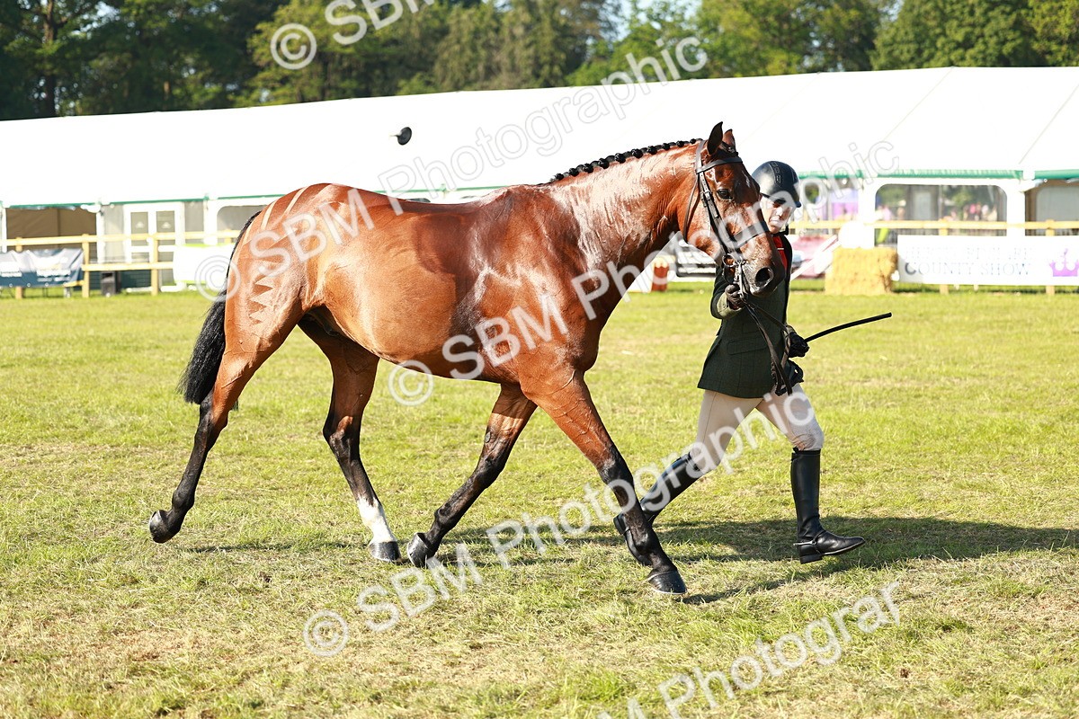 SBM_10797 - Class 66-69 - RIHS Ridden Hunters Inc Small Hunter