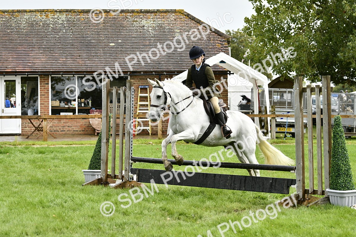 SBM_45581 - S33 - Working Hunter Pony