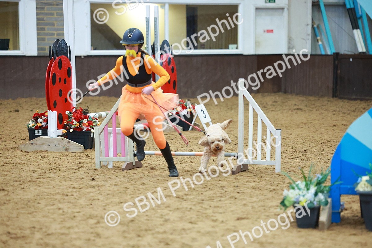 SBM_002346 - Class 3 - Horse & Hound (60cm)