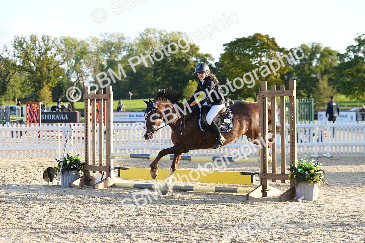 SBM_54140 - Supreme Championship 60cm 65cm
