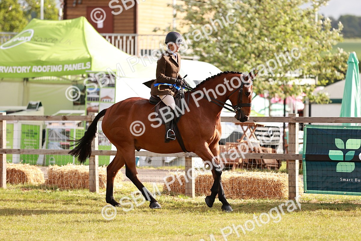 SBM_10829 - Class 81-84 - RIHS Ridden hunters Inc Ladies Hunter