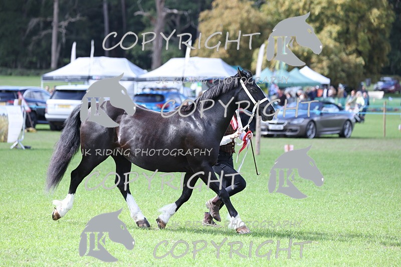 APP_3019 - Class 10a/b M&M in hand