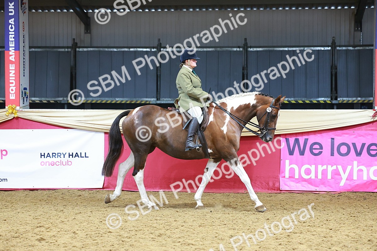 SBM_12394 - Class 103 - HOYS Veteran Qualifier - Ridden Pre Vet