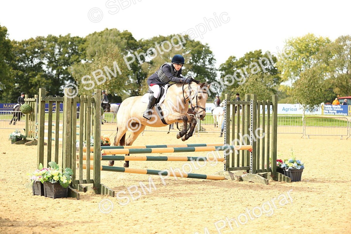 SBM_67253 - J17 - Junior Pony 80cm Championship