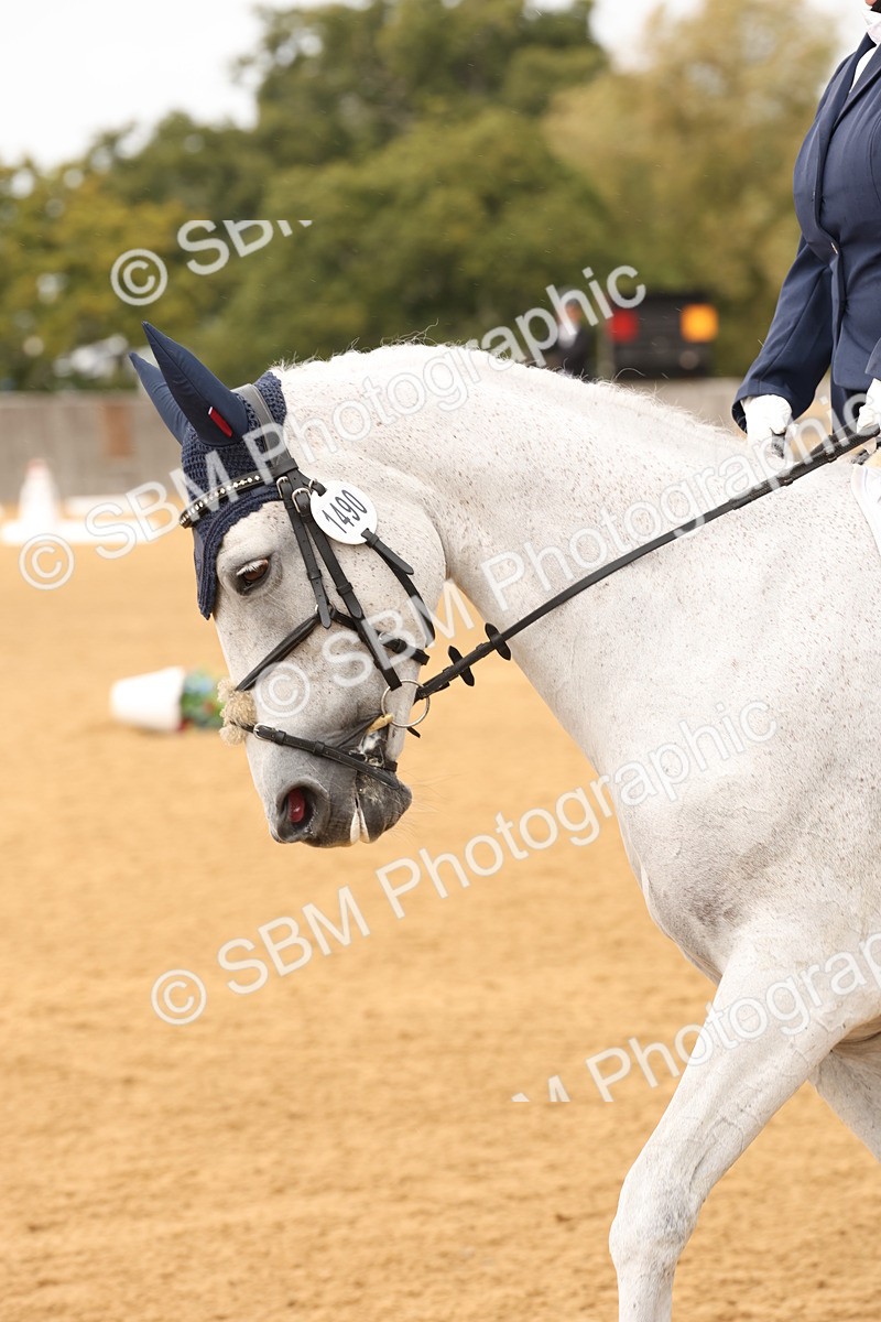 SBM_20314 - D10 - Small Tour Championship Prelim 2