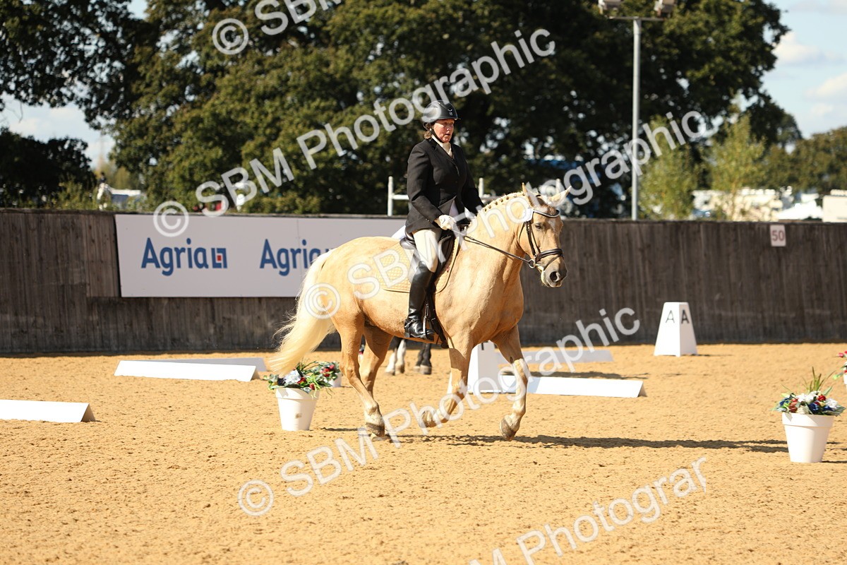 SBM_24565 - D17 - Grand Tour Championship - Novice 27