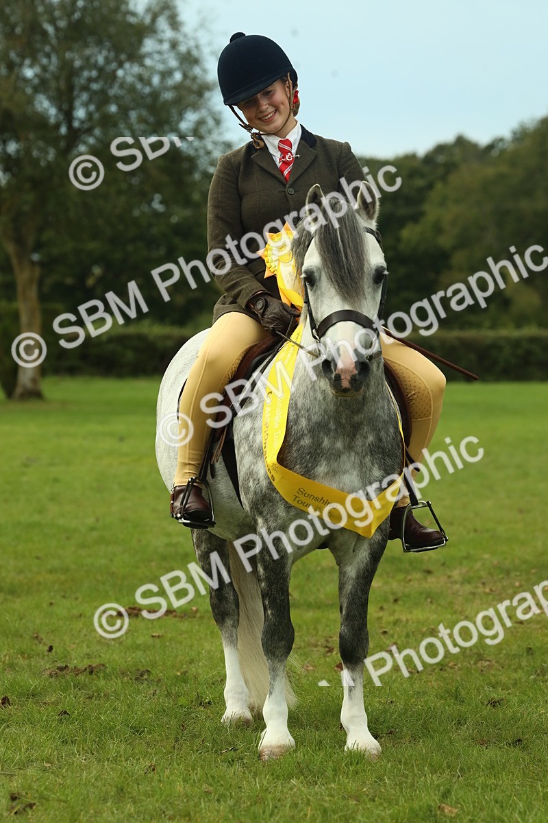 SBM_70033 - S59 - Mountain & Moorland Ridden Small Breeds