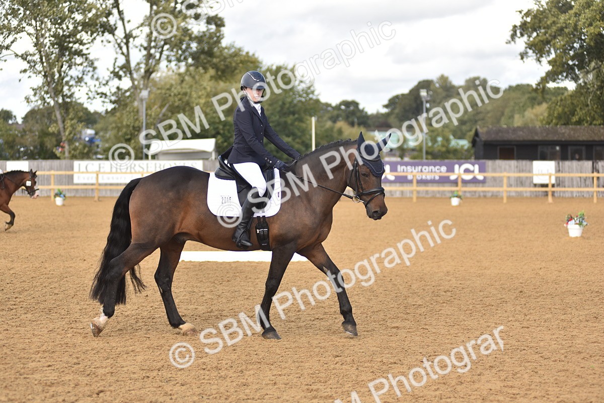 SBM_48788 - D22 - Junior Championship Intro 3