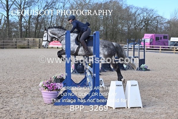 BPP_3269 - CLASS 2  Club/ Unaffiliated 80cms Open