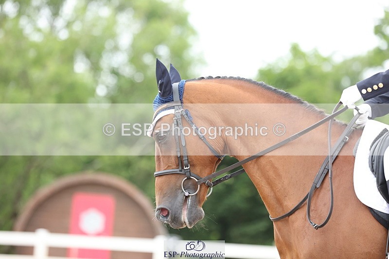 240621A-172209-05614 - Cls 5 Novice 27