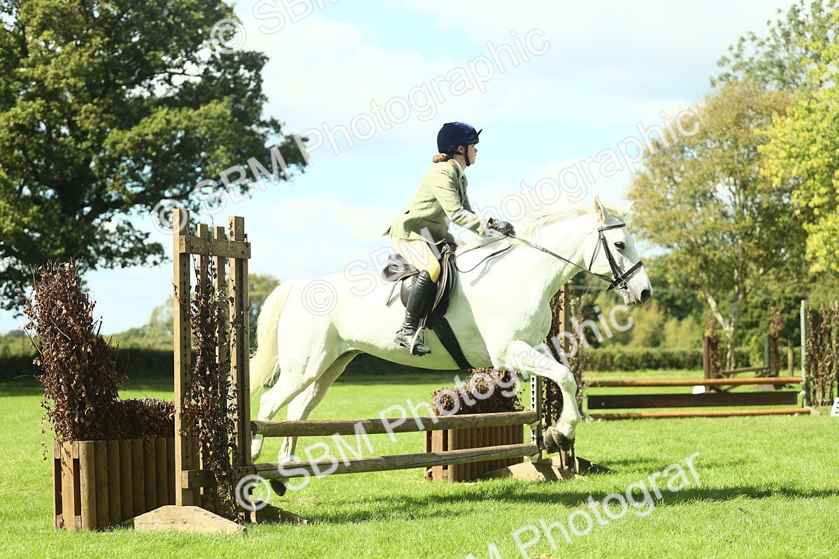 SBM_44545 - S30 - M&M Working hunter Pony